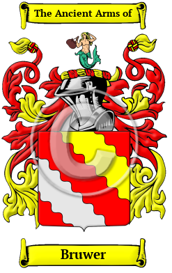 Bruwer Family Crest Download (JPG) Heritage Series - 600 DPI