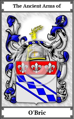 O'Bric Family Crest Download (JPG) Book Plated - 600 DPI