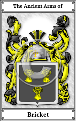 Bricket Family Crest Download (JPG)  Book Plated - 150 DPI