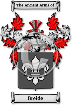 Breide Family Crest Download (JPG) Legacy Series - 600 DPI