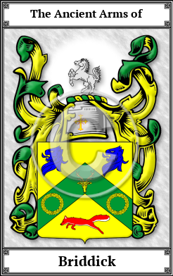 Briddick Family Crest Download (JPG)  Book Plated - 150 DPI