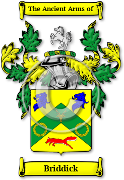 Briddick Family Crest Download (jpg) Legacy Series - 150 DPI