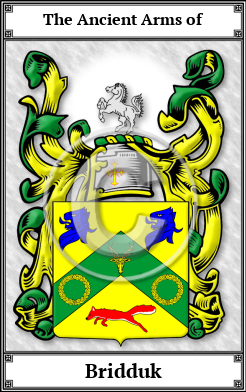 Bridduk Family Crest Download (JPG) Book Plated - 600 DPI
