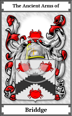 Briddge Family Crest Download (JPG) Book Plated - 600 DPI