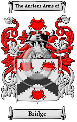 Bridge Family Crest Download (JPG) Heritage Series - 600 DPI