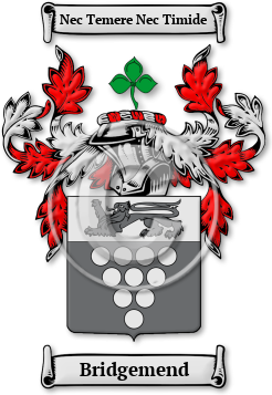 Bridgemend Family Crest Download (jpg) Legacy Series - 150 DPI