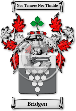 Bridgen Family Crest Download (jpg) Legacy Series - 150 DPI