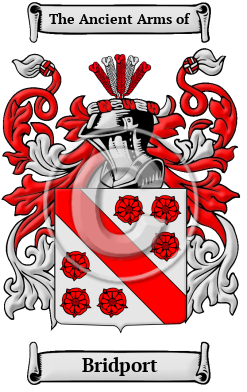 Bridport Family Crest/Coat of Arms