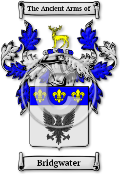Bridgwater Family Crest Download (jpg) Legacy Series - 150 DPI