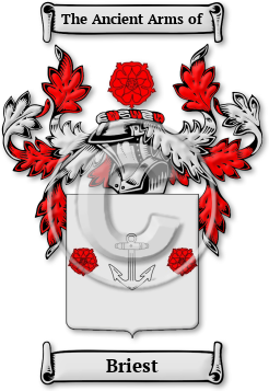 Briest Family Crest Download (jpg) Legacy Series - 150 DPI