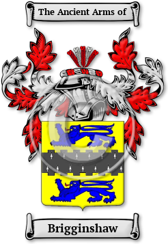 Brigginshaw Family Crest Download (jpg) Legacy Series - 150 DPI