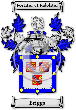 Briggs Family Crest Download (jpg) Legacy Series - 150 DPI