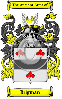 Brigman Family Crest/Coat of Arms