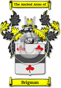 Brigman Family Crest Download (jpg) Legacy Series - 150 DPI