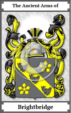 Brightbridge Family Crest Download (JPG)  Book Plated - 150 DPI