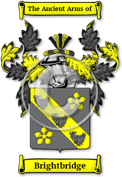 Brightbridge Family Crest Download (jpg) Legacy Series - 150 DPI