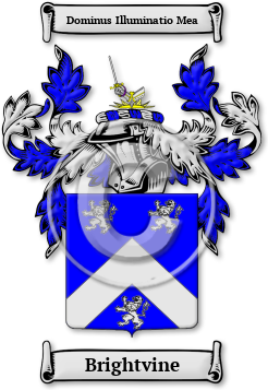 Brightvine Family Crest Download (jpg) Legacy Series - 150 DPI