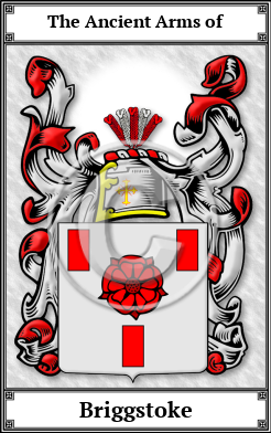 Briggstoke Family Crest Download (JPG)  Book Plated - 150 DPI