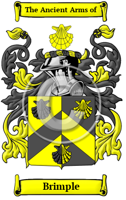 Brimple Family Crest Download (JPG) Heritage Series - 600 DPI