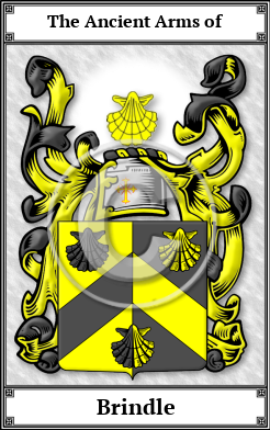 Brindle Family Crest Download (JPG) Book Plated - 300 DPI