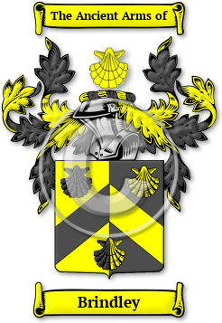 Brindley Family Crest Download (jpg) Legacy Series - 150 DPI