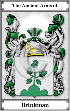 Brinkman Family Crest Download (JPG) Book Plated - 600 DPI