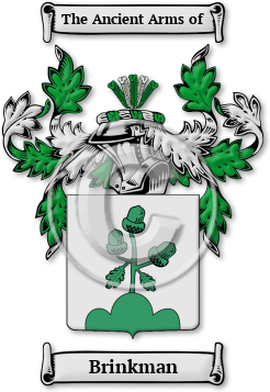 Brinkman Family Crest Download (JPG) Legacy Series - 600 DPI