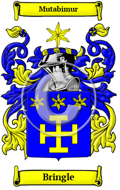 Bringle Family Crest/Coat of Arms