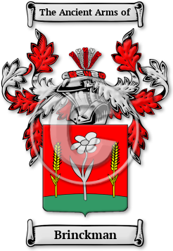 Brinckman Family Crest Download (jpg) Legacy Series - 150 DPI