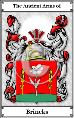Brincks Family Crest Download (JPG)  Book Plated - 150 DPI