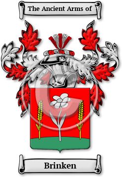 Brinken Family Crest Download (jpg) Legacy Series - 150 DPI