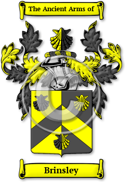 Brinsley Family Crest Download (jpg) Legacy Series - 150 DPI