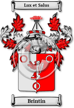 Brintin Family Crest Download (jpg) Legacy Series - 150 DPI