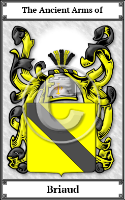Briaud Family Crest Download (JPG)  Book Plated - 150 DPI