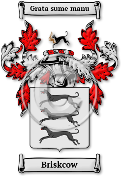 Briskcow Family Crest Download (jpg) Legacy Series - 150 DPI