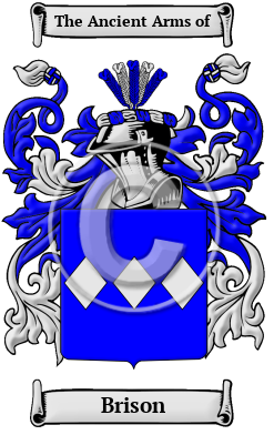 Brison Family Crest Download (JPG) Heritage Series - 600 DPI