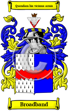 Broadband Family Crest/Coat of Arms
