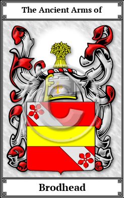 Brodhead Family Crest Download (JPG)  Book Plated - 150 DPI