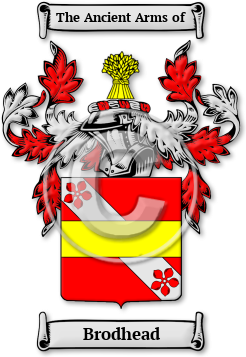 Brodhead Family Crest Download (jpg) Legacy Series - 150 DPI