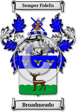 Broadmeado Family Crest Download (jpg) Legacy Series - 150 DPI