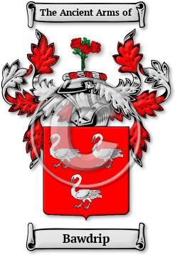 Bawdrip Family Crest Download (jpg) Legacy Series - 150 DPI