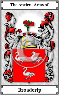 Broaderip Family Crest Download (JPG)  Book Plated - 150 DPI