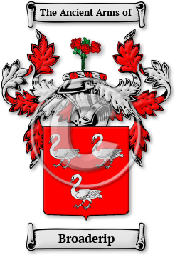 Broaderip Family Crest Download (jpg) Legacy Series - 150 DPI