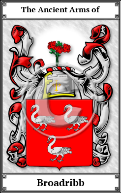 Broadribb Family Crest Download (JPG) Book Plated - 600 DPI