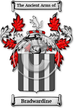 Bradwardine Family Crest Download (JPG) Legacy Series - 600 DPI