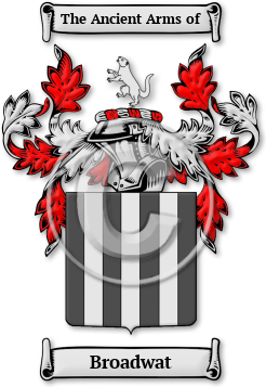 Broadwat Family Crest Download (jpg) Legacy Series - 150 DPI