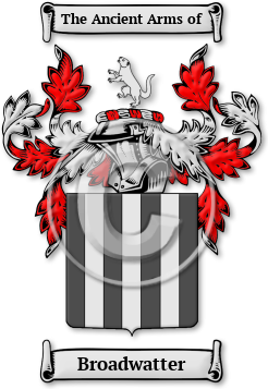 Broadwatter Family Crest Download (JPG) Legacy Series - 600 DPI