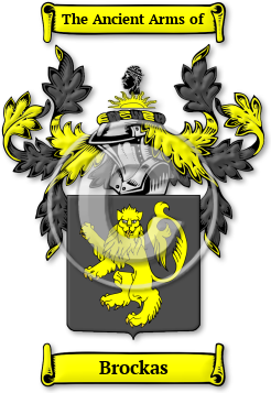 Brockas Family Crest Download (jpg) Legacy Series - 150 DPI