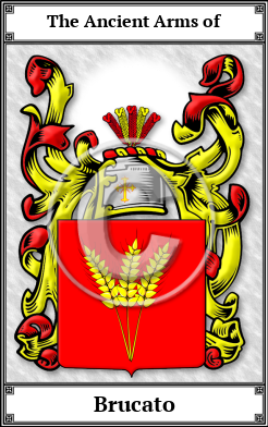 Brucato Family Crest Download (JPG) Book Plated - 600 DPI
