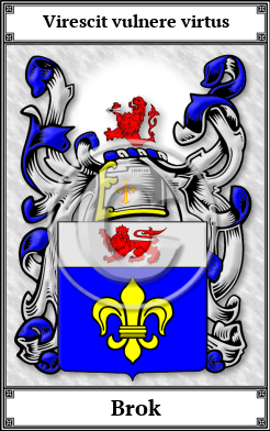 Brok Family Crest Download (JPG)  Book Plated - 150 DPI